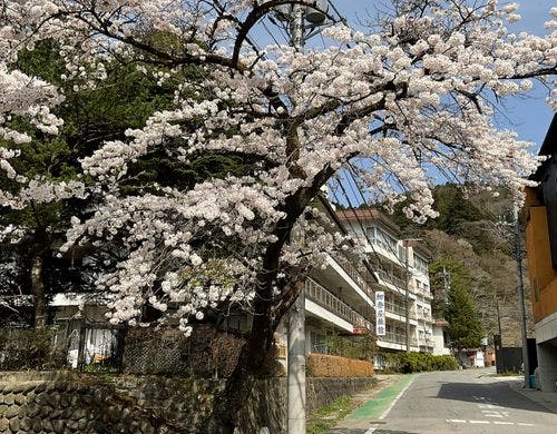 昭和館（昭和51年築）