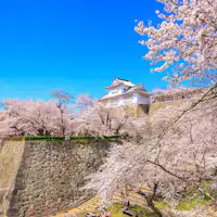 สวนสาธารณะสึรุยามะ