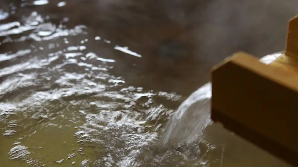 Yumeguri no Yado Shuzenji Onsen Katsuragawa