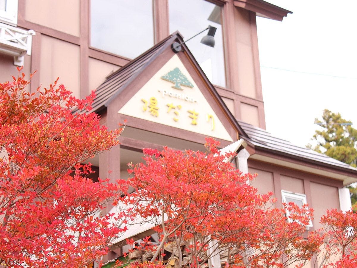 ในฤดูใบไม้ร่วง ใบไม้สีแดงสดใสจะประดับสถานที่ของเรา