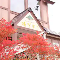 ในฤดูใบไม้ร่วง ใบไม้สีแดงสดใสจะประดับสถานที่ของเรา