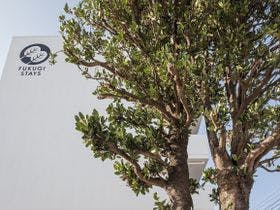 かりゆしコンドミニアムリゾート宮古島　ふくぎステイズ