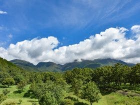 天然温泉の国民宿舎　久住高原荘