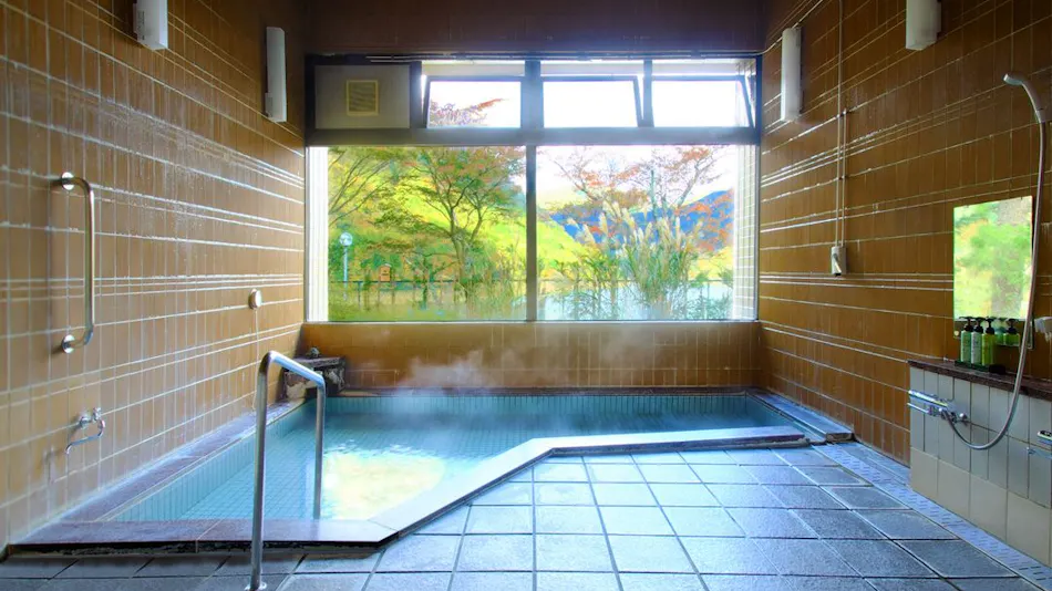 Forest Resort Sarugakyo Seikoso