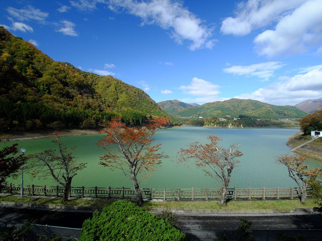 Forest Resort Sarugakyo Seikoso