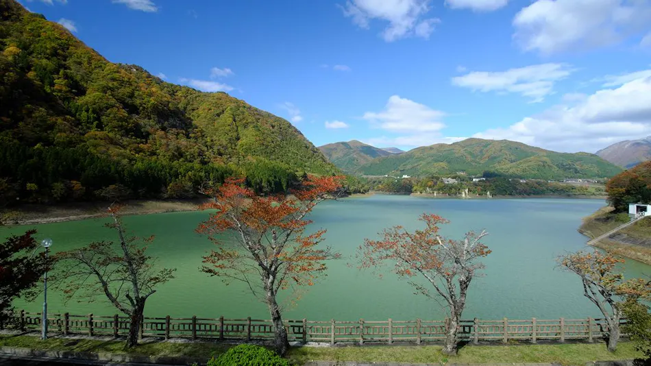Forest Resort Sarugakyo Seikoso