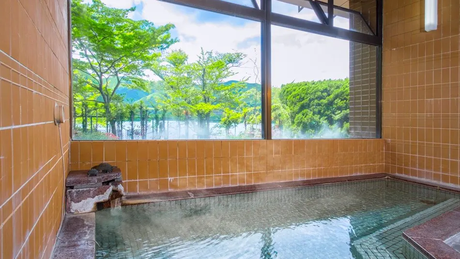 Forest Resort Sarugakyo Seikoso