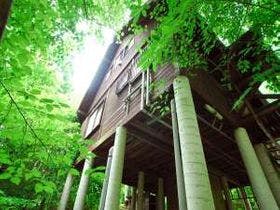 森遊び体験ができる宿　ペンション＆コテージ　森の散歩