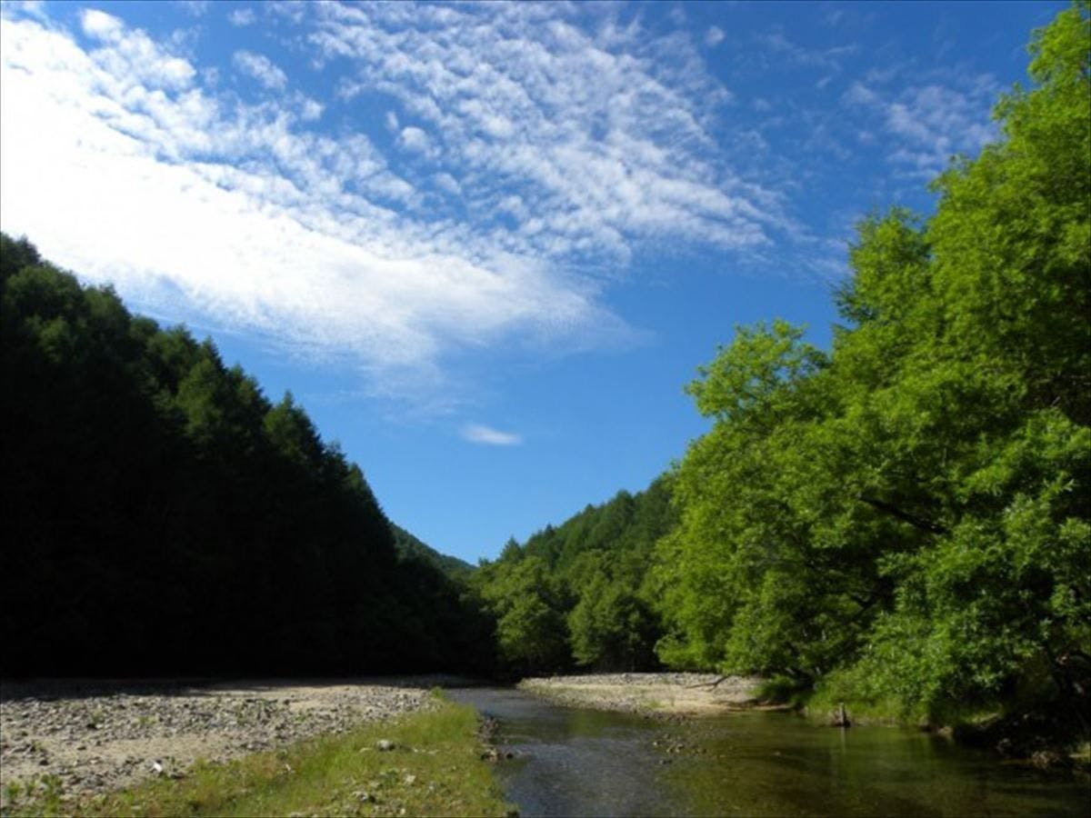 Hiruzen Glamping Cottage Forest Walk