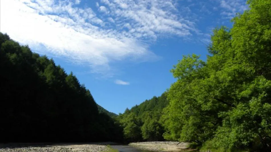 Hiruzen Glamping Cottage Forest Walk