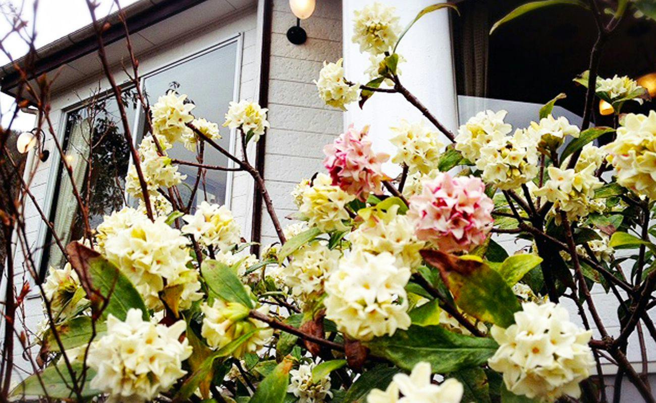 Misasa Onsen Misasa Garden Hotel