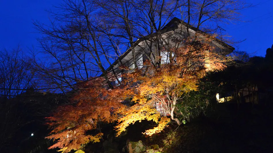 Misasa Onsen Misasa Garden Hotel