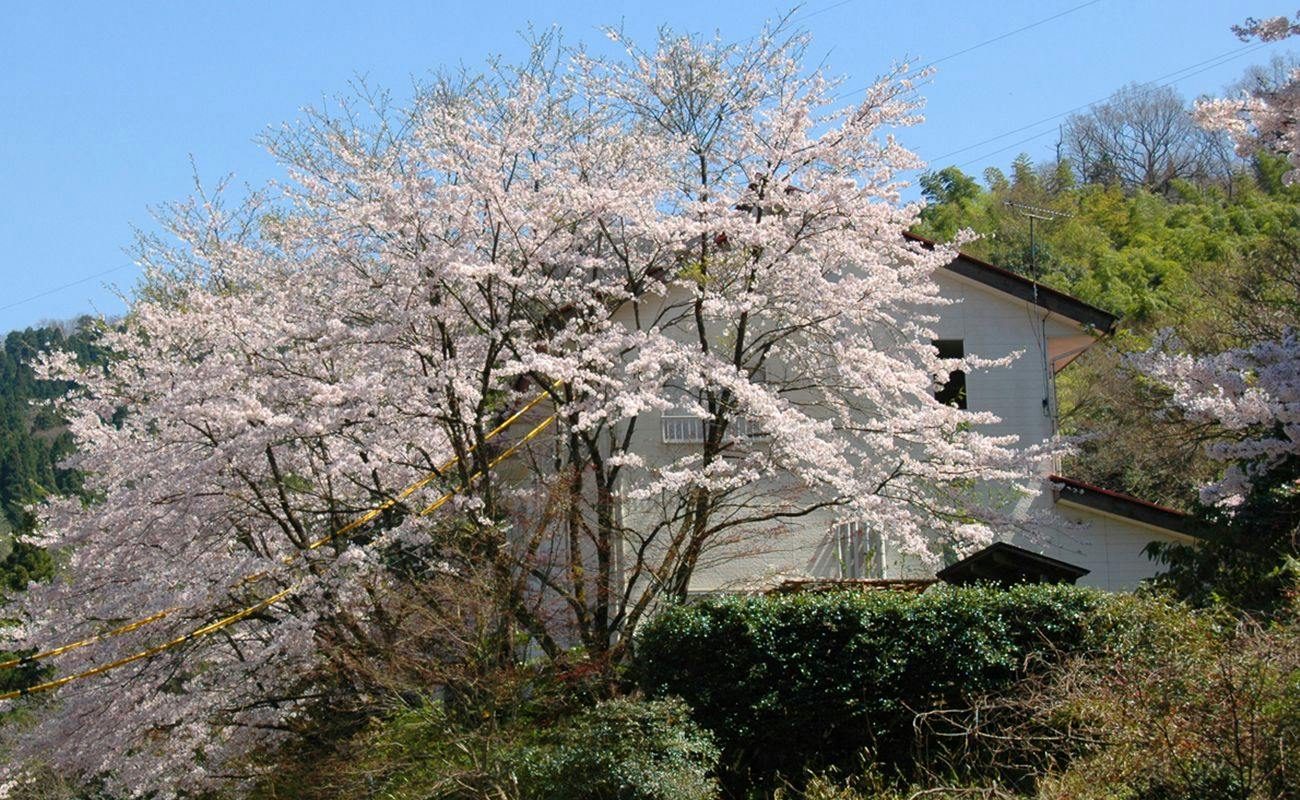 Misasa Onsen Misasa Garden Hotel
