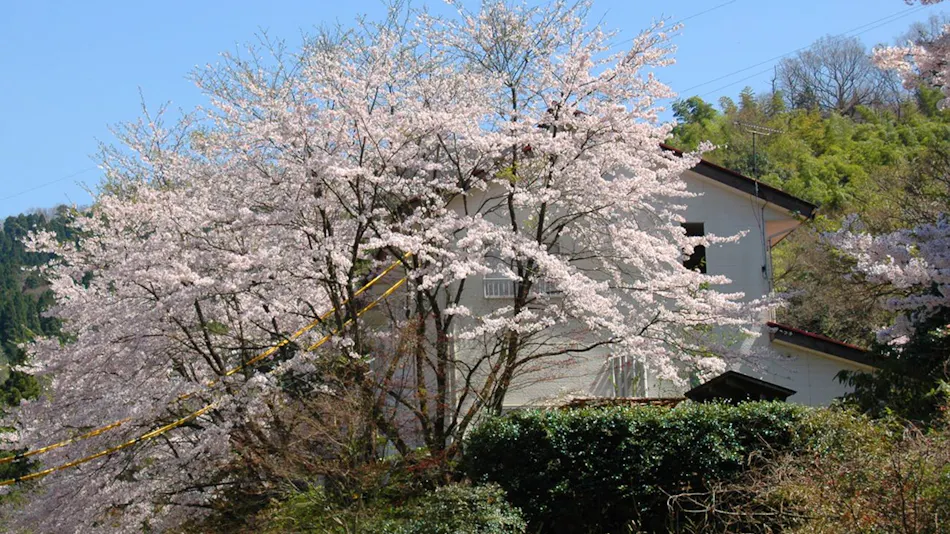 Misasa Onsen Misasa Garden Hotel