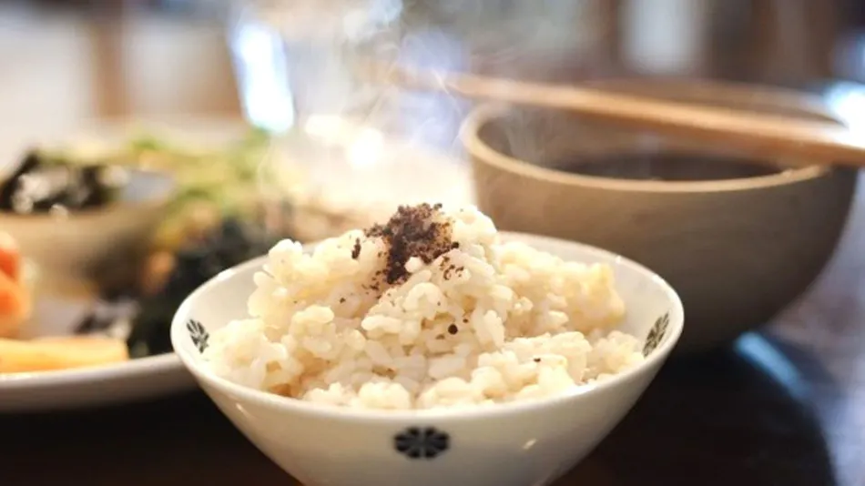 Fasting Hotel Umi no Mori