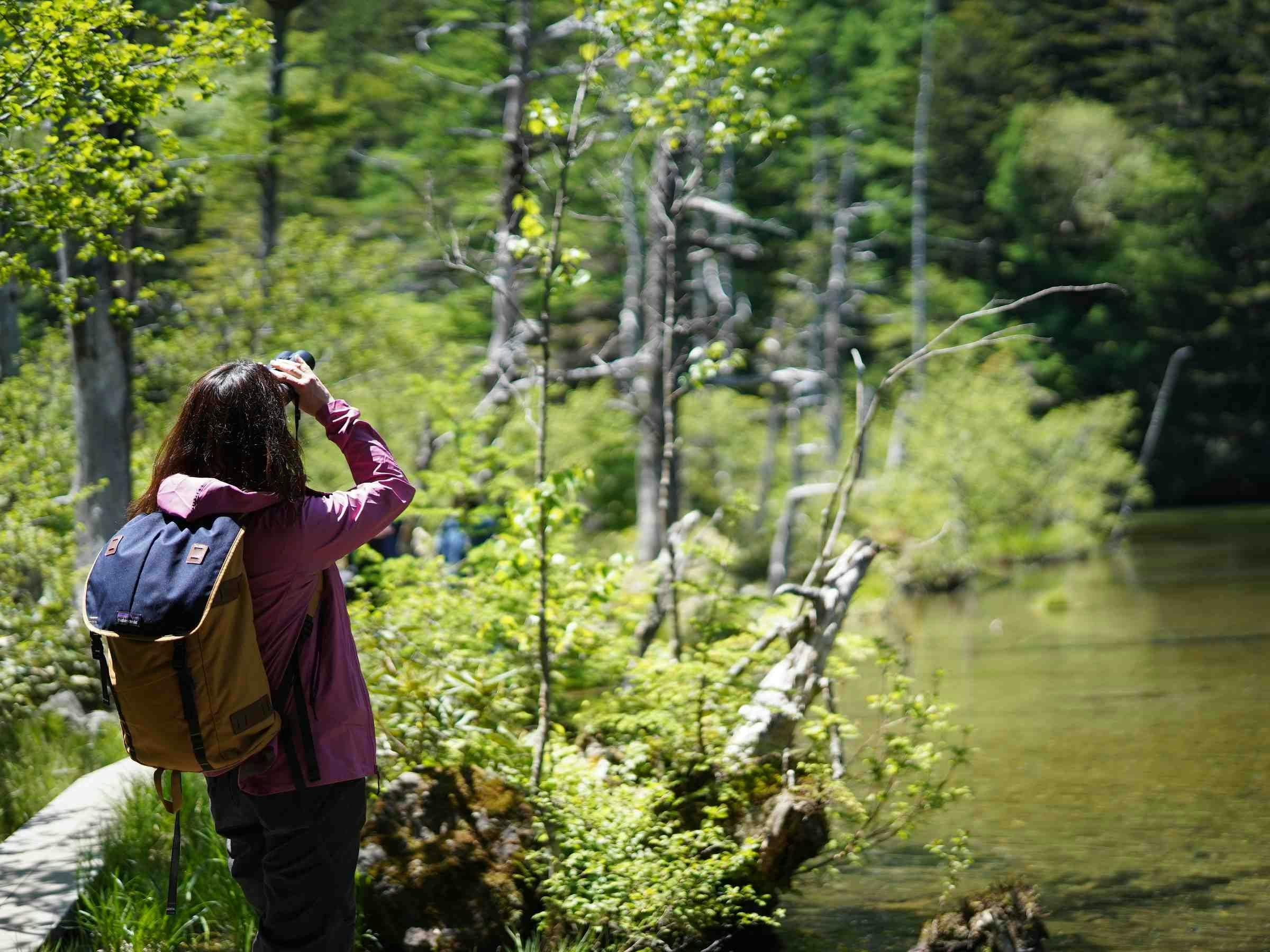 Kamikochi Yama no Hidaya