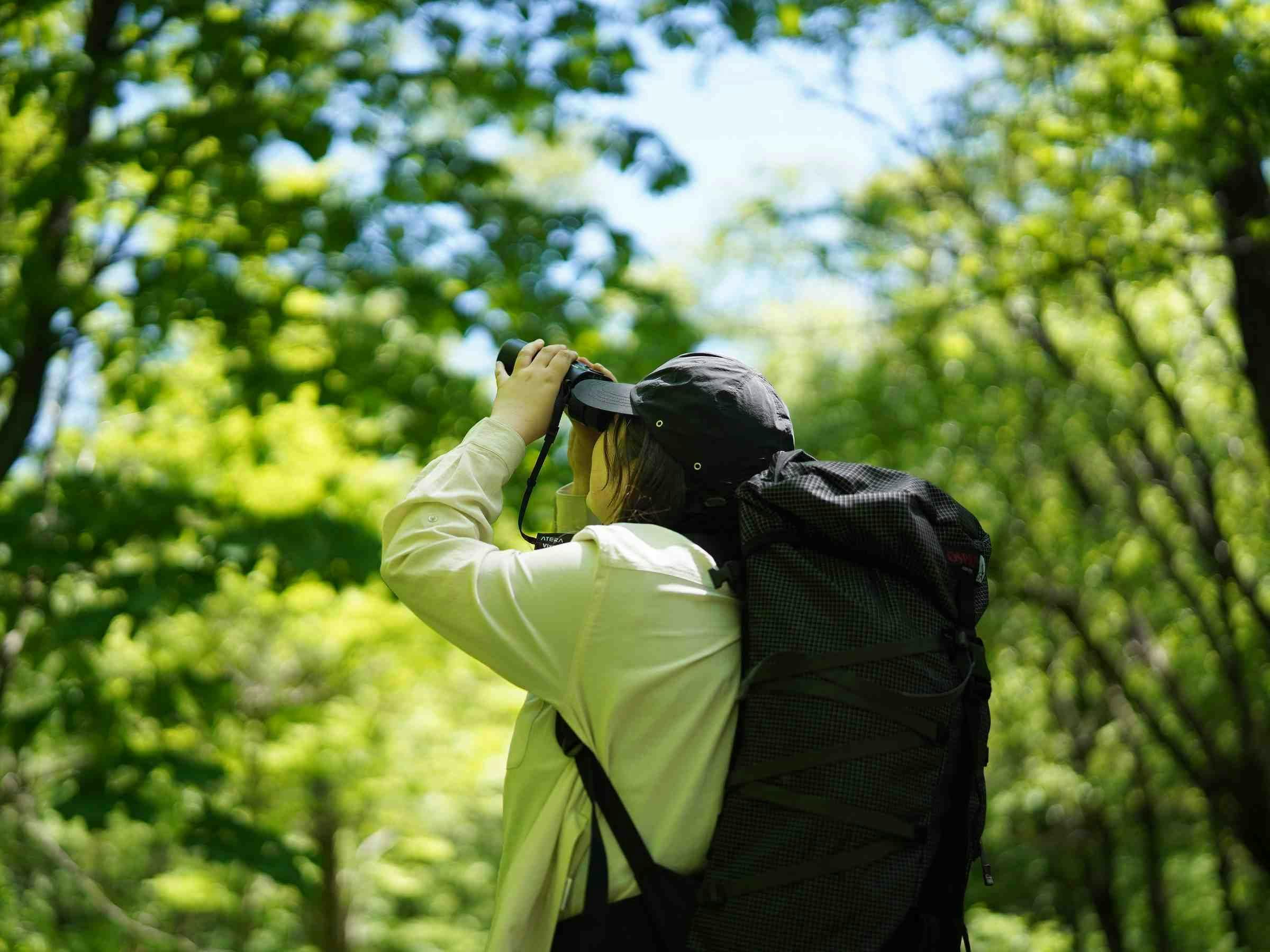 Kamikochi Yama no Hidaya