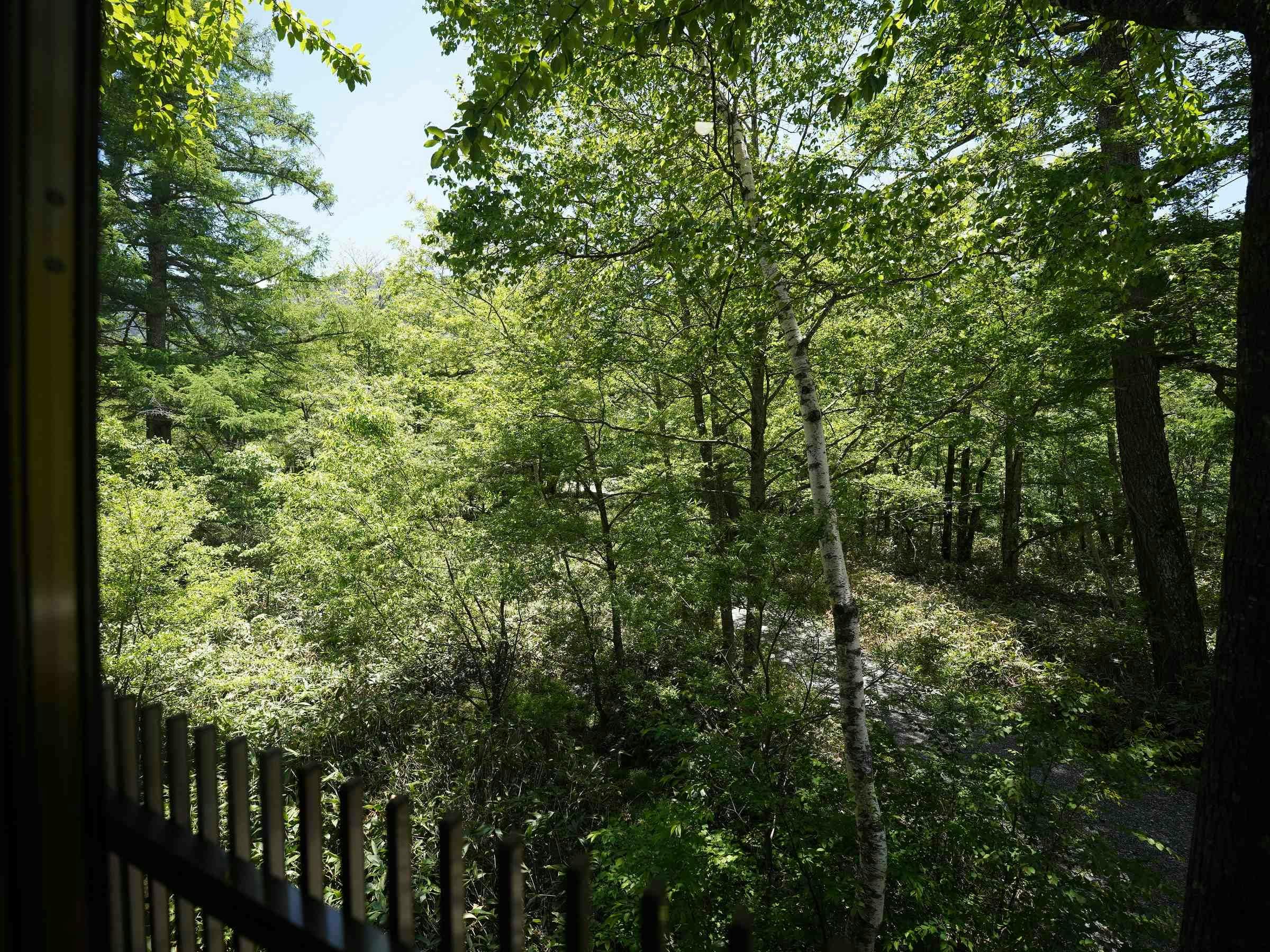 Kamikochi Yama no Hidaya