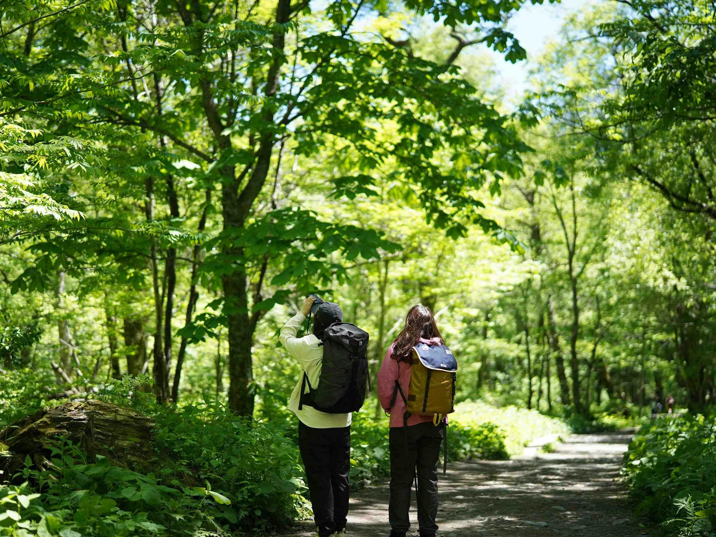 Kamikochi Yama no Hidaya