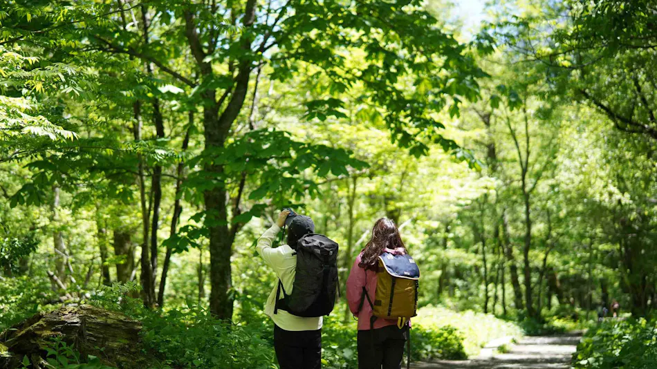 Kamikochi Yama no Hidaya