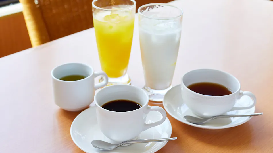 Inuyama Central Hotel