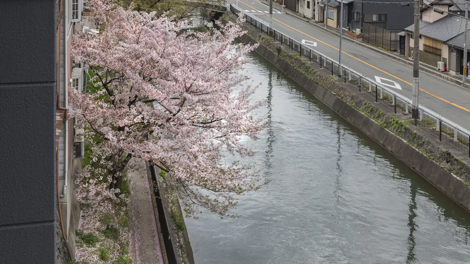 Tofukuji Riverside