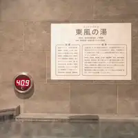 건강 증진, 피로 회복, 피부 미용 효과.