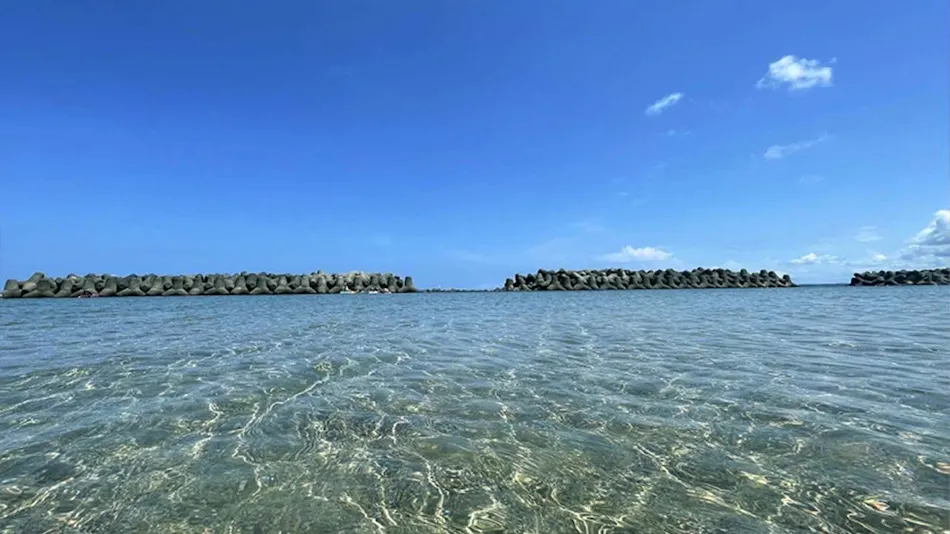 Seaside Sushi Inn Yahataya