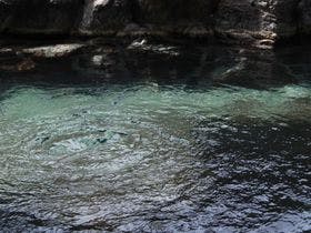 三朝温泉　みささガーデンホテル