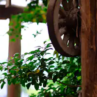 ทัศนียภาพ