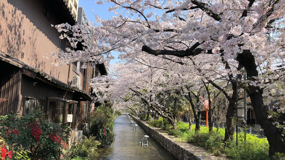 Kyomachiya Miyabi Kiyomizu-tei Shofu-an