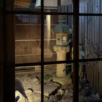 ลานกลางที่มองเห็นได้จากห้องนั่งเล่นชั้น 1