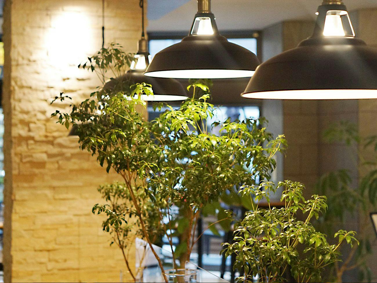 Hotel SUI Kobe Sannomiya by ABEST