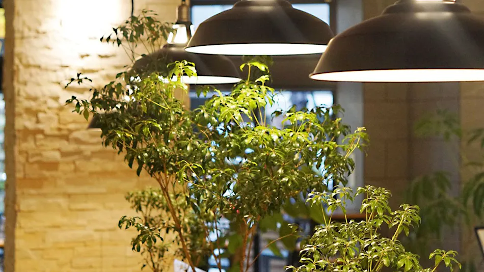 Hotel SUI Kobe Sannomiya by ABEST