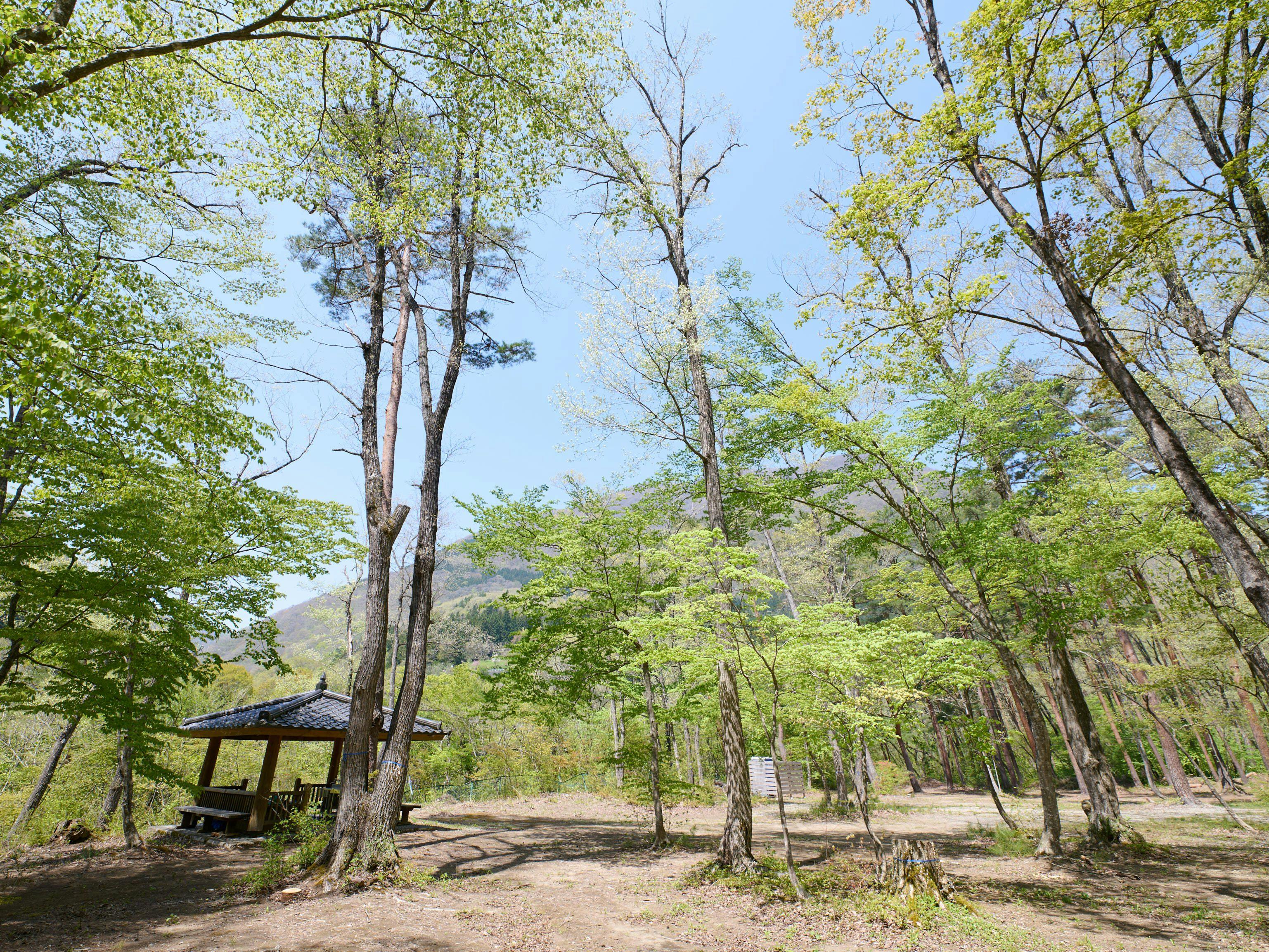 Tabist Koboushi no Yu Senshintei Aizu Yunokami Onsen