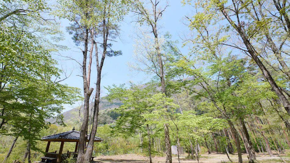 Tabist Koboushi no Yu Senshintei Aizu Yunokami Onsen