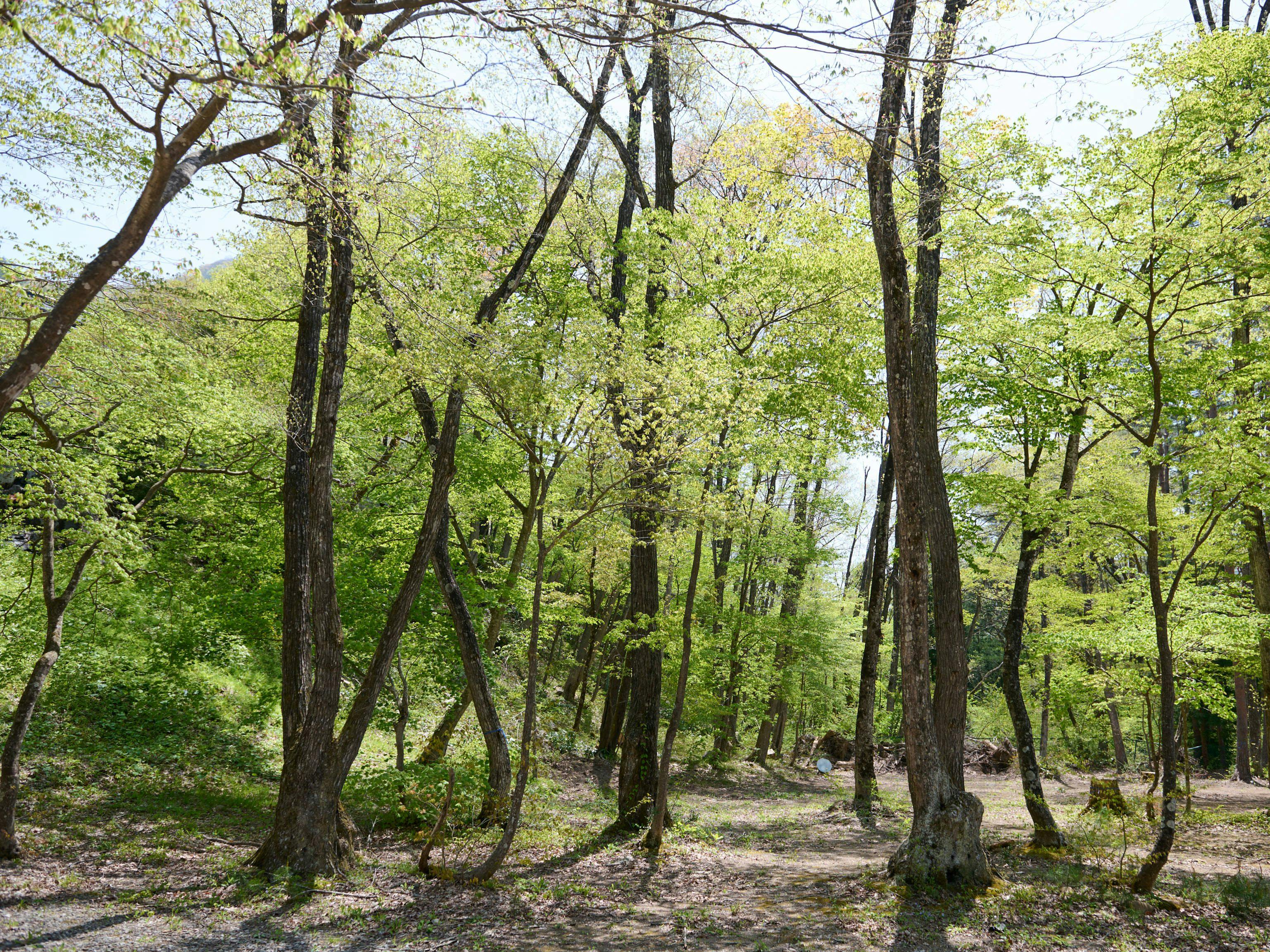 Tabist Koboushi no Yu Senshintei Aizu Yunokami Onsen