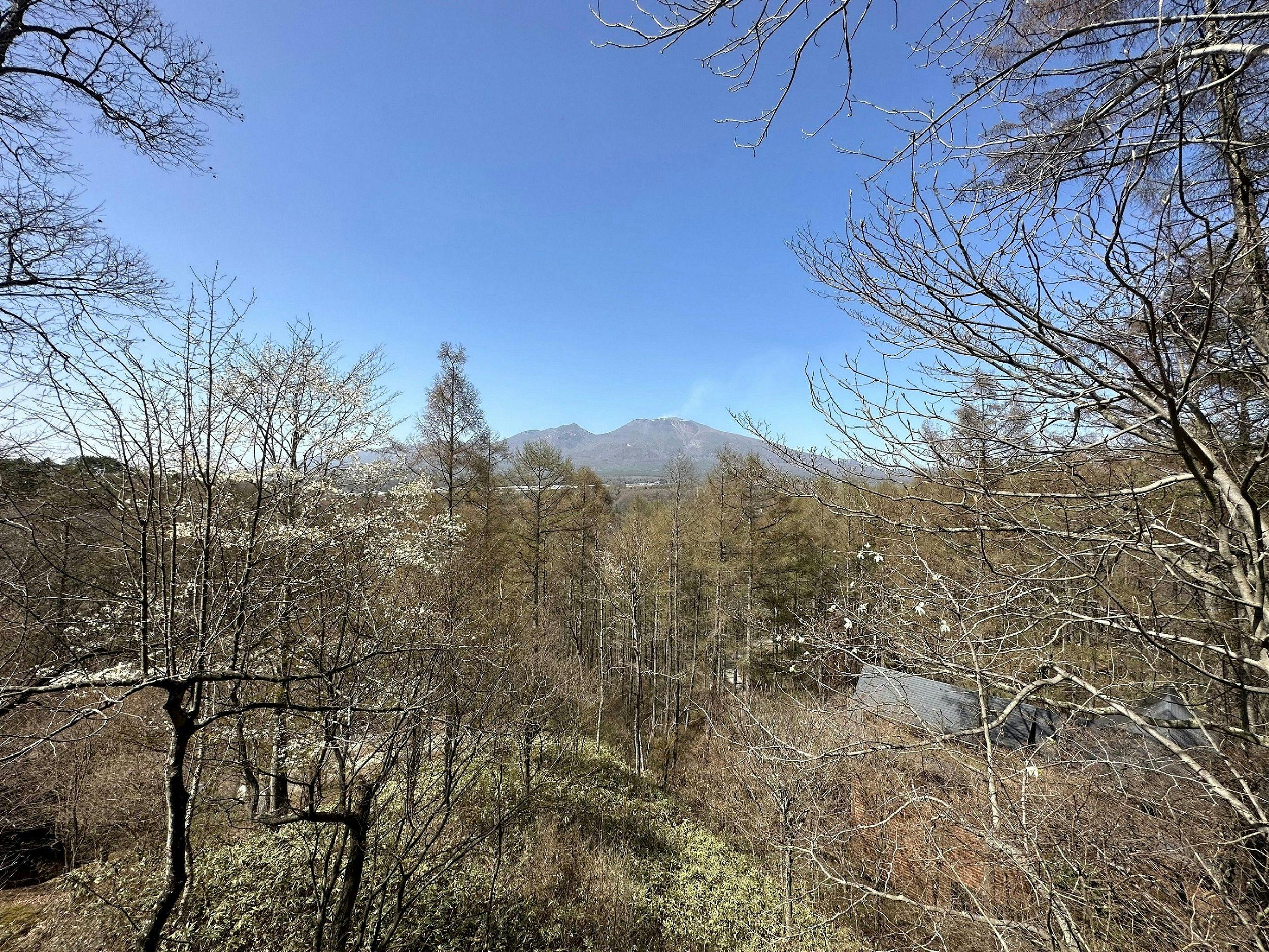 Karuizawa RENTAVILLA Forest Cottage