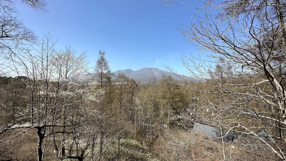 Karuizawa RENTAVILLA Forest Cottage