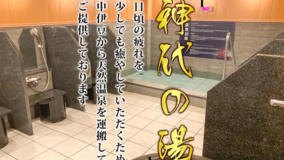 Natural Hot Spring Hotel Livemax PREMIUM Nagoya Marunouchi