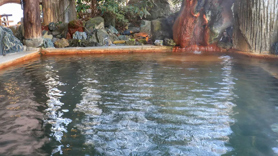 Shinkashi Onsen Gohousou