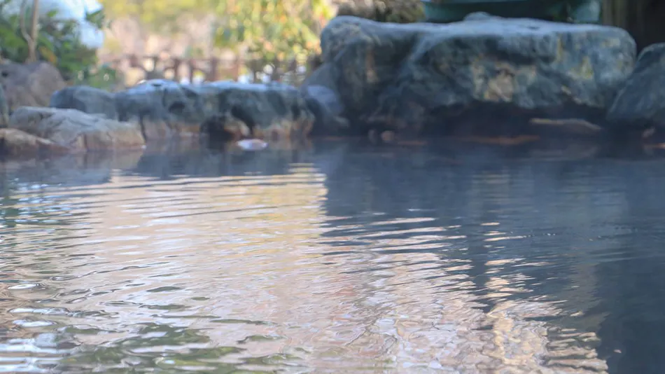 Shinkashi Onsen Gohousou