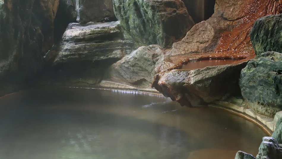 Shinkashi Onsen Gohousou