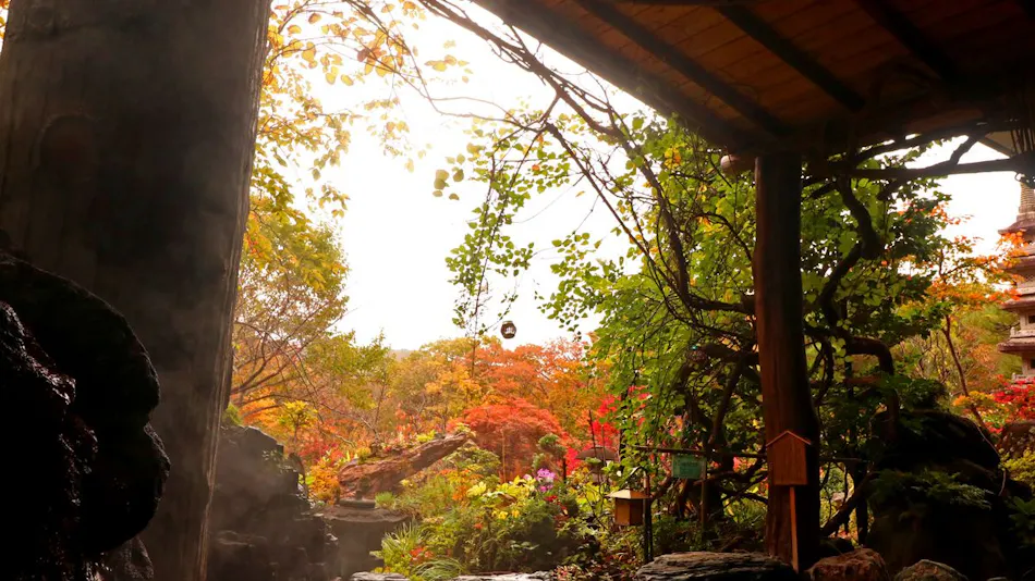 Shinkashi Onsen Gohousou
