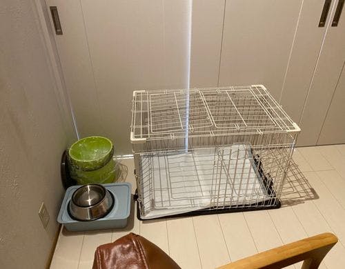 【禁煙ワンちゃん歓迎】離れツイン　ソファ