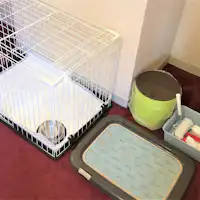 มีอุปกรณ์สำหรับสัตว์เลี้ยงเตรียมไว้ในห้องพัก