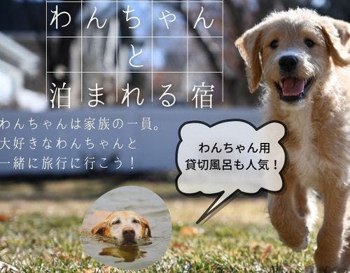 わんちゃん専用客室もご用意しております