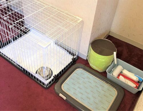 ペットグッズをお部屋にご用意