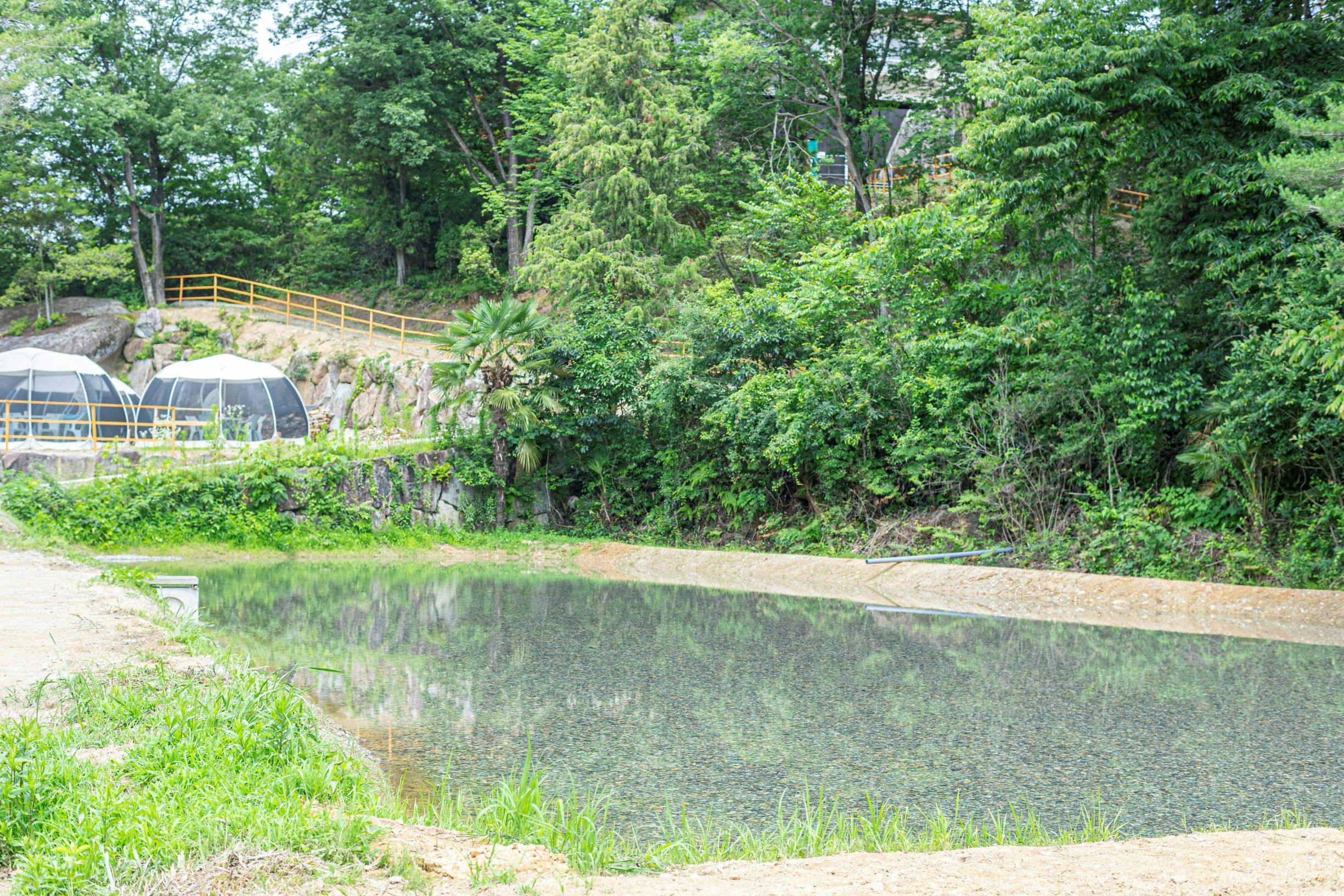 Glamping Hoshigamino Mori