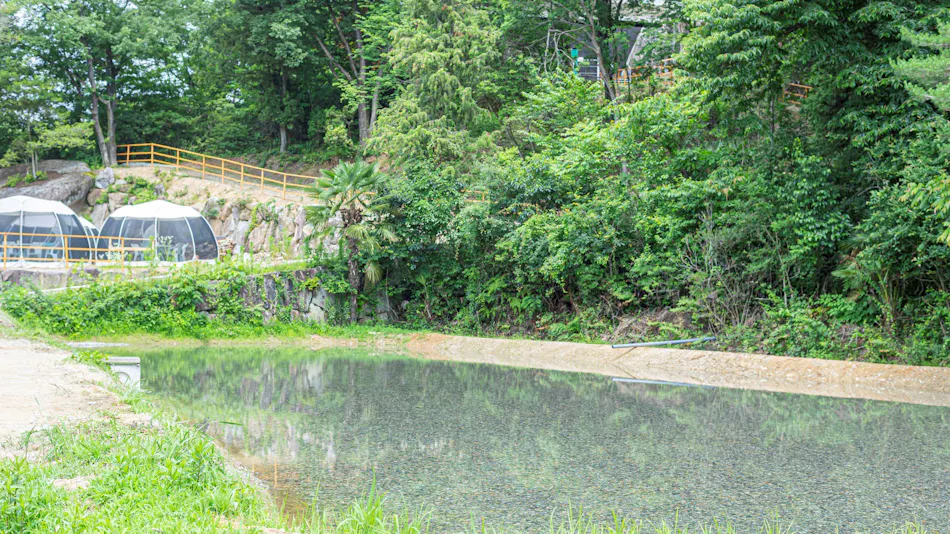 Glamping Hoshigamino Mori